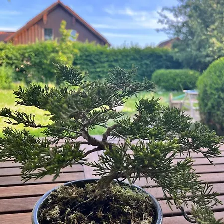 Zimmer Zum Wohlfuehlen Eching  Buitenkant foto