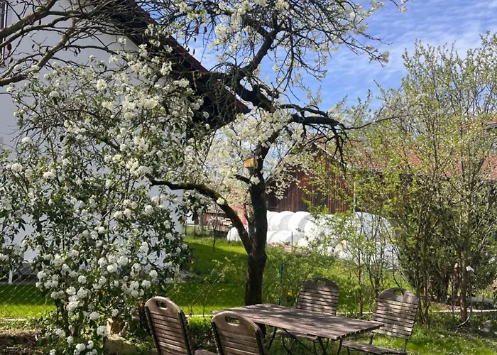 Zimmer Zum Wohlfuehlen